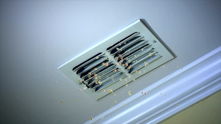 Best Residential Air Duct Cleaning  in Center Moriches, NY